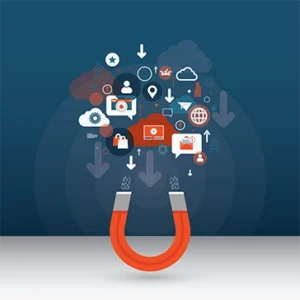 Website Hosting Management - Premium